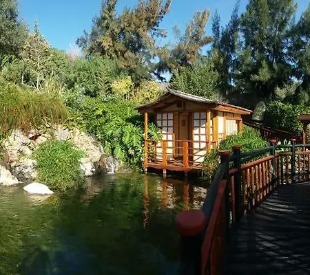 El Remo * טורמולינוס