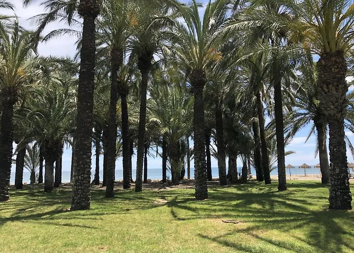 El Remo * Torremolinos