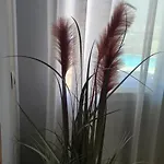 El Remo アパート