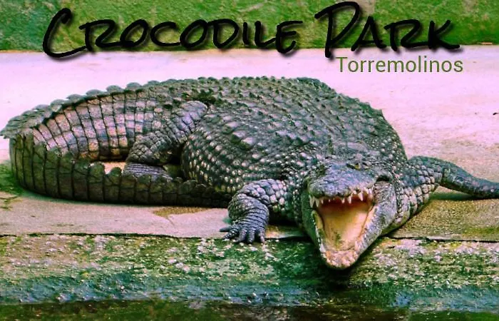 El Remo Διαμέρισμα