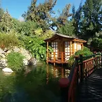 El Remo * Torremolinos